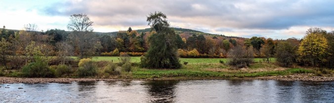 c38dc35e-6727-4a0c-a613-fe6bb70fd54f