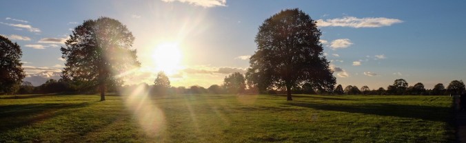 de9241a2-d6b1-4f9b-b572-8e0cb639847a