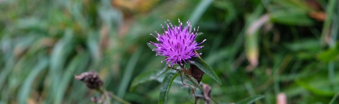 df73b472-ff3d-4343-8e29-ce7828c7be44