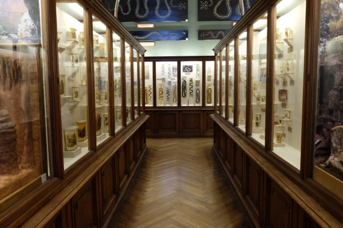 Natural History Museum