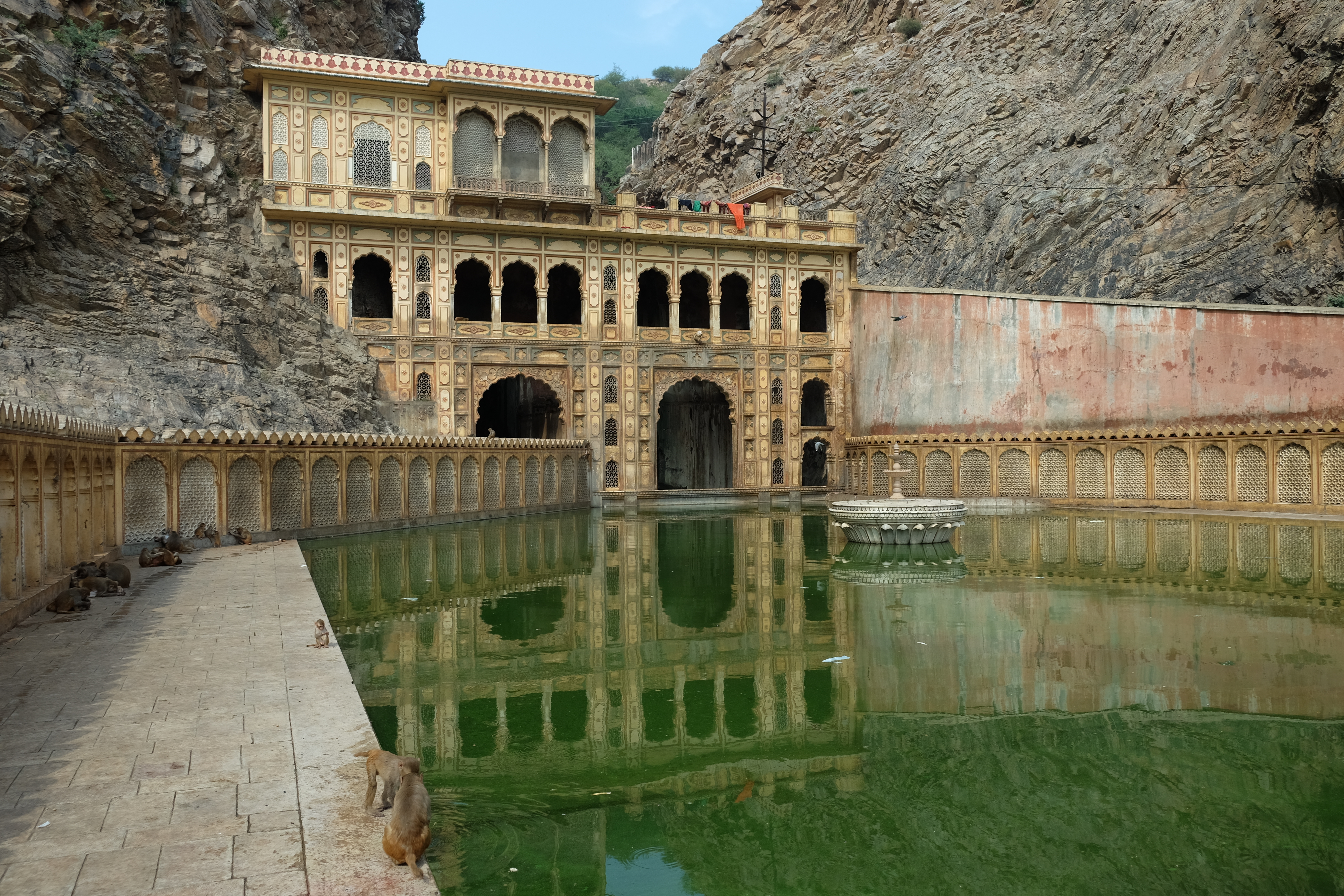 Jaipur’s monkey temple